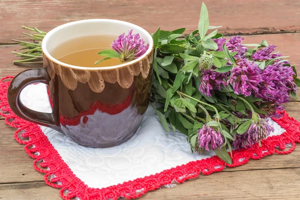 Delicious herbal tea with clover — Stock Fotó