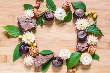 Frame from autumn elements: chestnut, bark, dried flowers 
