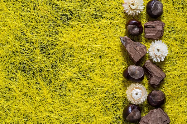 Confine con elementi autunnali: castagne, pezzi di corteccia, fl essiccati — Foto Stock