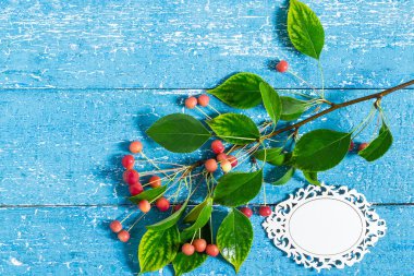 Autumn theme: twig with Chinese apples and tag for text 