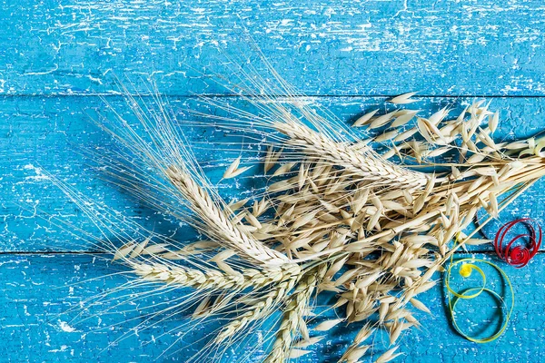 Cereals: ears of rye, barley and oats on a blue background — 스톡 사진