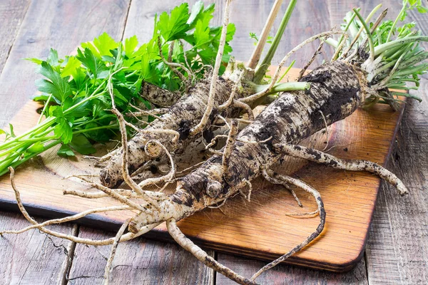 Parsley is a new crop (roots and stems with leaves) — Stock Photo, Image