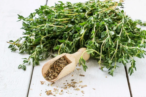 Green sprigs of thyme and dried thyme in the scoop — Stock Photo, Image