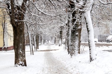 Sessiz şehir kar fırtınası'ndan sonra sokak 