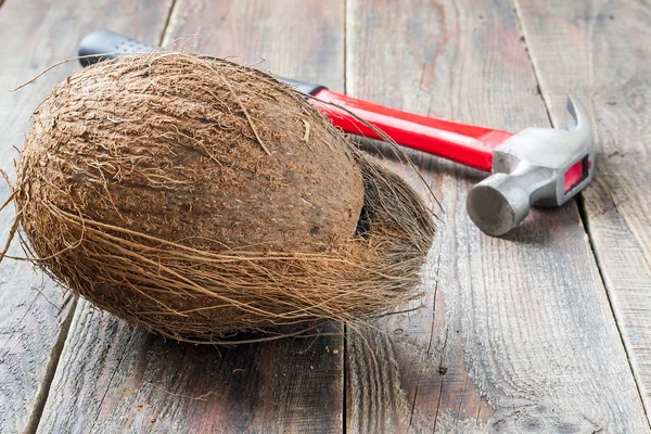 Kokos a kladivo — Stock fotografie