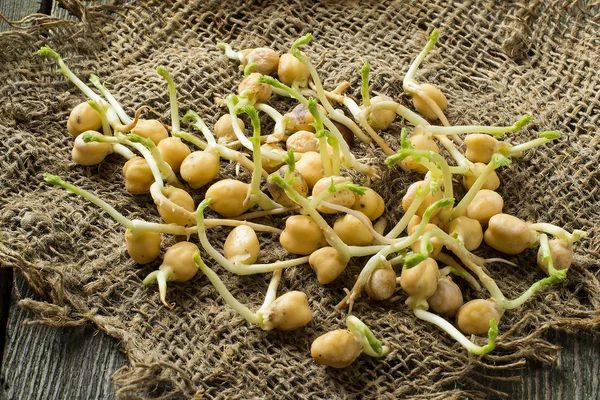 Gekiemde kikkererwten voor het koken gezonde voeding — Stockfoto