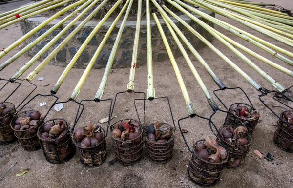 Steel baskets filled with coconut shells and carried on poles ready to be set alight during the Buddhist Esala Perahera (great procession) which takes place at Kandy in Sri Lanka.