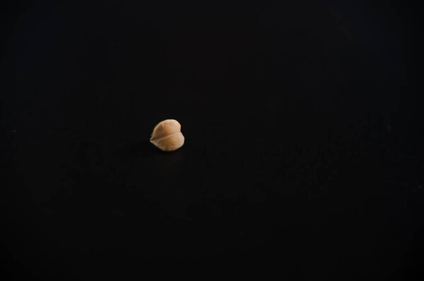 grain of buckwheat at close range. Close-up. grain structure