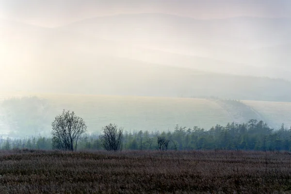 Multilevel fields — Stock Photo, Image