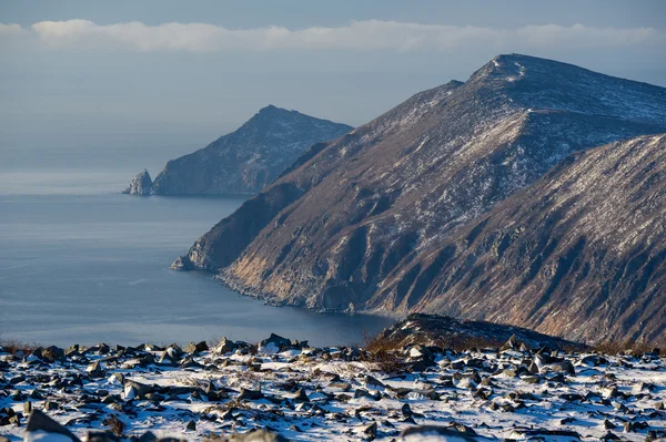 Paisagem invernal — Fotografia de Stock