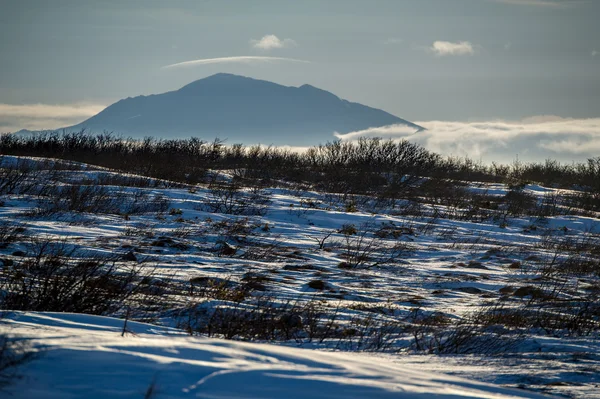 Paisagem invernal — Fotografia de Stock