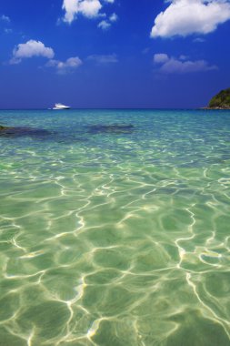 Güneşli bir gün denizde