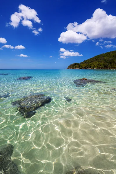 Güneşli bir gün denizde