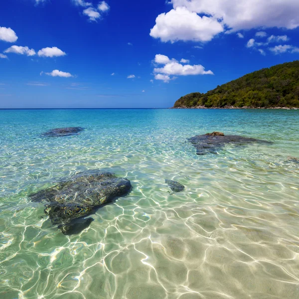 The sea in a sunny day — Stock Photo, Image