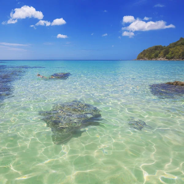 Lagoa azul-turquesa da ilha tropical — Fotografia de Stock