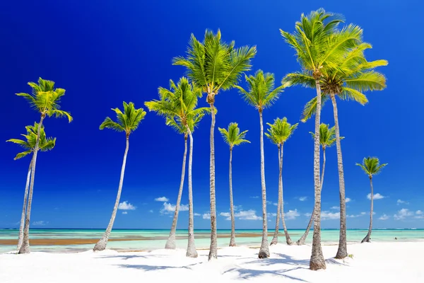 Plaża na tropikalnej wyspie — Zdjęcie stockowe
