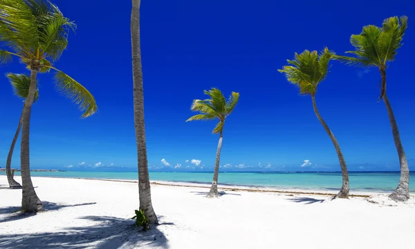 Praia na ilha tropical — Fotografia de Stock