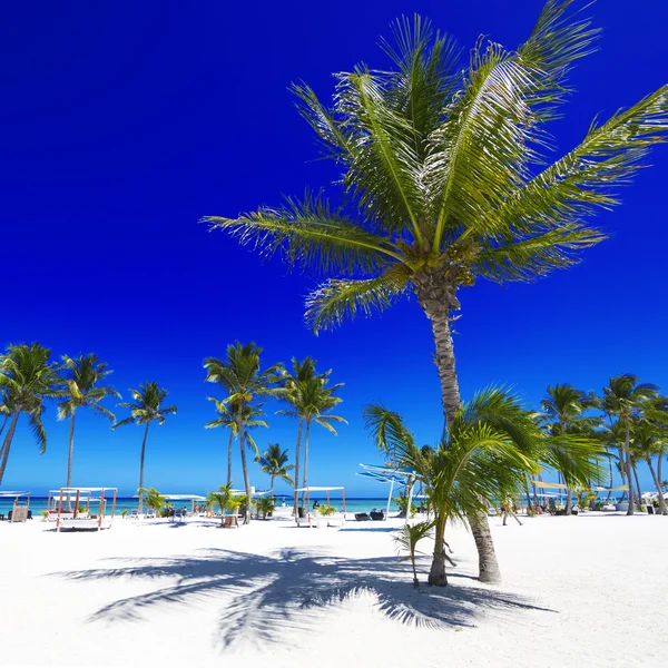 Playa en la isla tropical —  Fotos de Stock