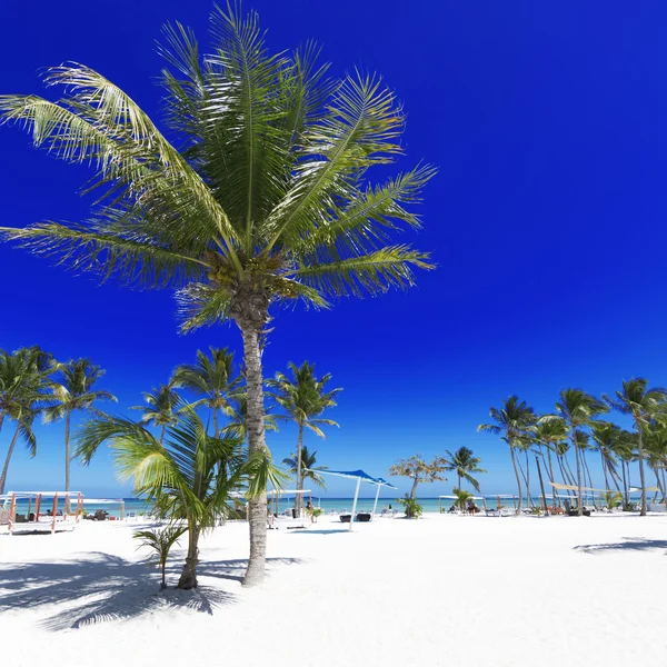 Pláž na tropickém ostrově — Stock fotografie