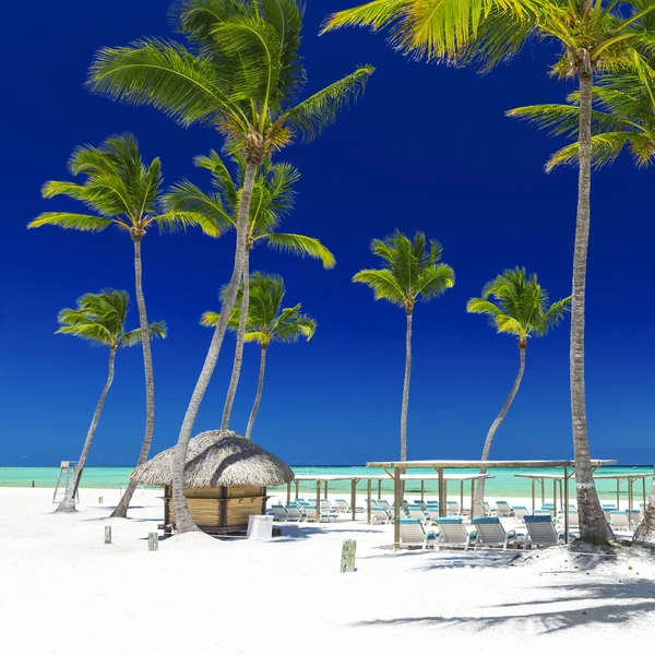 Beach on the tropical island — Stock Photo, Image