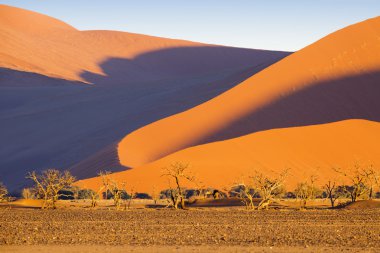 Çöl dunes