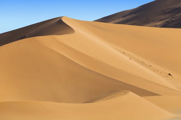 Duinen van de woestijn — Stockfoto