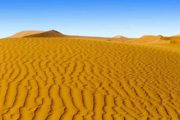 Dunes du désert — Photo