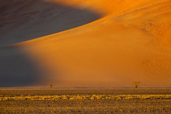 Duinen van de woestijn — Stockfoto