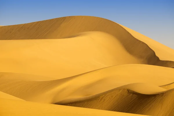 Dunas del desierto — Foto de Stock