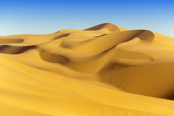 Dunes of desert — Stock Photo, Image