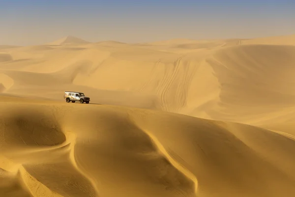 A sivatagi dűnék — Stock Fotó