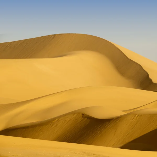 Wüstendünen — Stockfoto