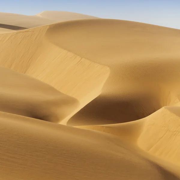 Dunas del desierto — Foto de Stock