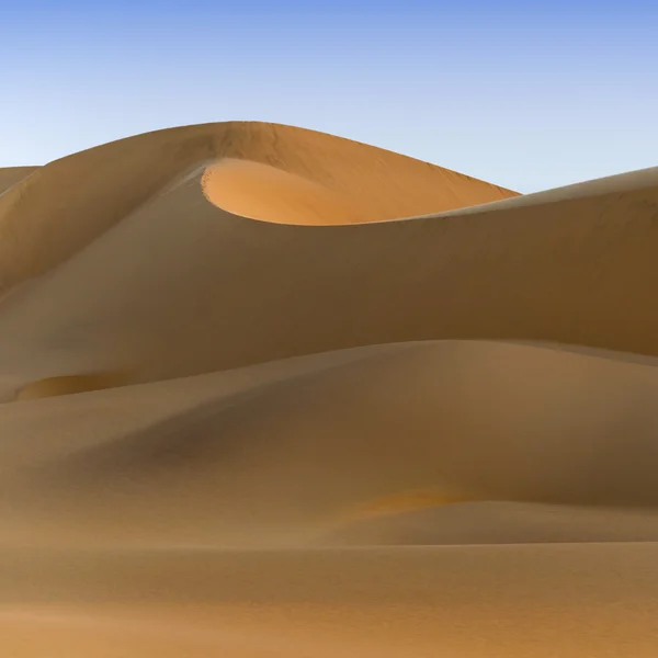 沙漠的沙丘上 — 图库照片