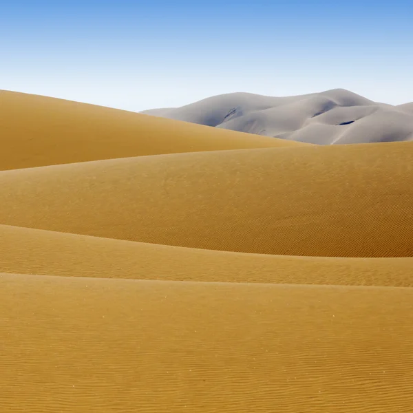 Dunas de deserto — Fotografia de Stock