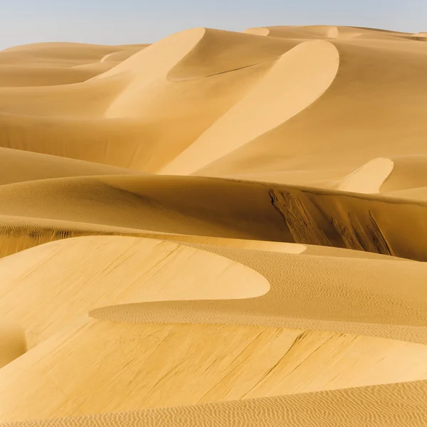 Дюны пустыни — стоковое фото