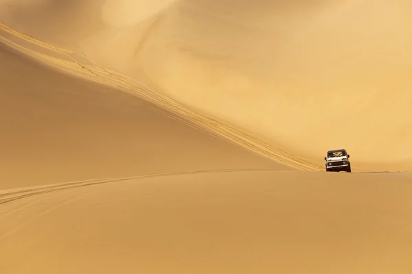 Dunas del desierto — Foto de Stock