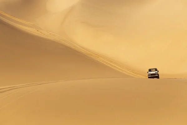 Dune del deserto — Foto Stock