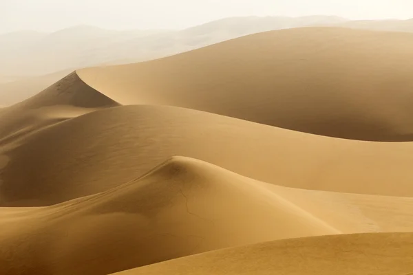 Duinen van de woestijn — Stockfoto