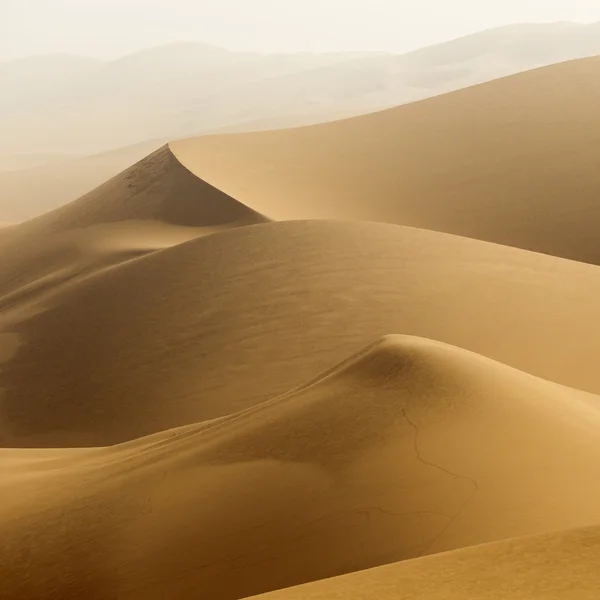 Dunes of desert — Stock Photo, Image