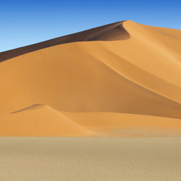 Dunes of desert — Stock Photo, Image