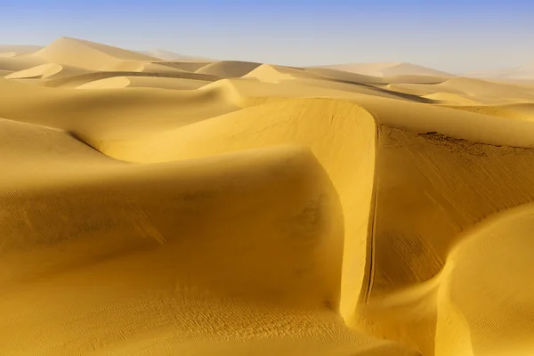 Duinen van de woestijn — Stockfoto