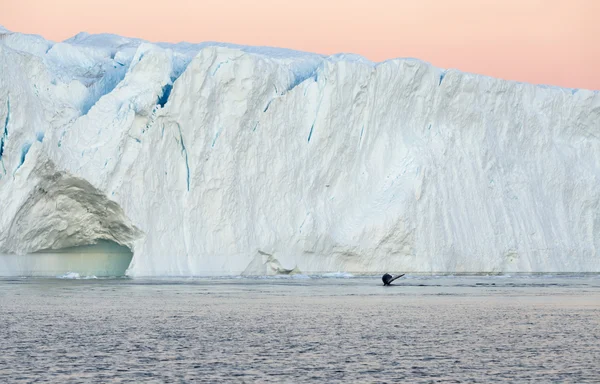 Kutup bölgeleri büyük buzdağı. — Stok fotoğraf