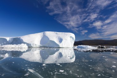 Grönland. ICES kutup bölgeleri.