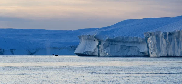 Grönland. ICES av polarområdena. — Stockfoto