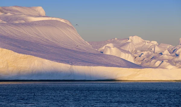 Гренландия. Исы полярных регионов . — стоковое фото