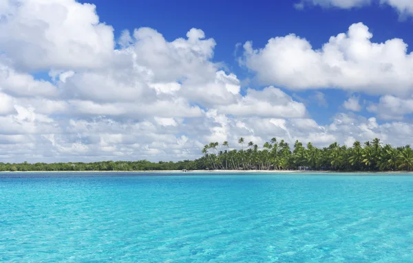 Palmeras en la playa tropical — Foto de Stock