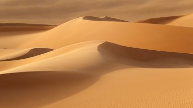 Sandy Dunes sıcak çölde. Dünyanın küresel iklim değişiklikleri. Çöl topraklarının genişlemesi.