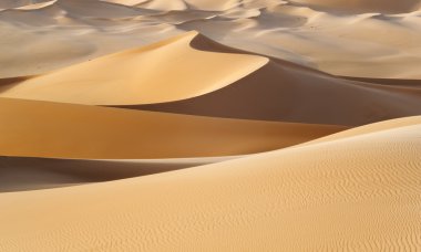 Çölde kum tepeleri