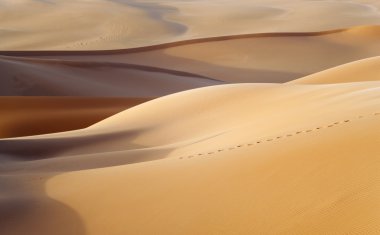 Çölde kum tepeleri